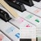 LICHUANUK Klavier Keyboard Aufkleber, 49/54/61/88 Piano Sticker Komplettsatz für schwarze + weisse Tasten, Klaviertasten Aufkleber für Kinder und Anfänger, Transparent Entfernbar，bunt, schwarz