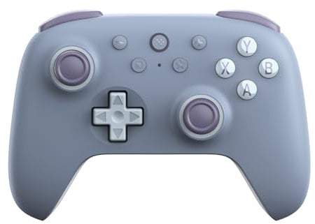 AKNES 8Bitdo Ultimate 2C 2.4G Wireless Controller für Windows PC und Android, mit Hall Effekt Joysticks und Hall Trigger, 1000Hz Polling Rate, und Remappable L4/R4 Bumpers (Blaubeere)