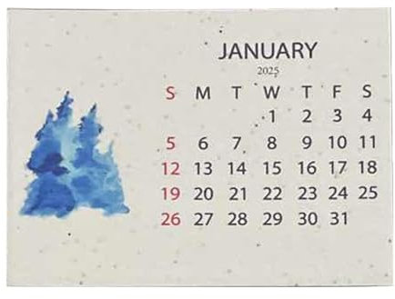 Pflanzbarer Samenkalender 2025, Pflanzbarer 12 Monatskalender Pflanzbarer Kalender 2025, Keimendem Samenpapier, Pflanzbarer 12 Monats Kalender,Papiersamen-Tischkalender