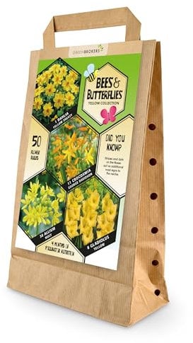 50 Bee & Butterfly Summer Bulb Collection | Yellow Bulb Varieties | Eco Packaging | Plant Now Ready to Bloom in Summer