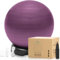 ENOVI EasyBalance Gymnastikball, Pezziball, Sitzball mit Sockel und Pumpe, 65cm, Amethyst Lila