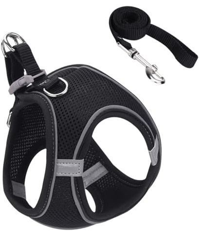 Harnais pour Chat | Harnais Sécurisé Ajustable pour Chats | pour Colliers De Chats Taille S M L pour Randonnée Plein Air