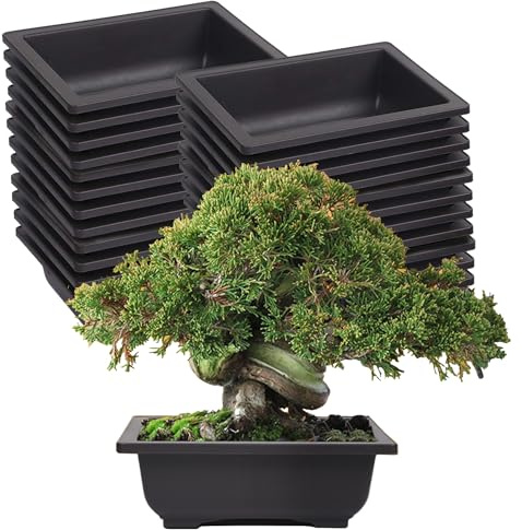 KINJOEK Bonsai-Trainingstöpfe aus Kunststoff, 16,5 cm, rechteckig, für Bonsai-Baum, Starterblume, Sukkulenten, Pflanzgefäß für Garten, Innenbereich, Zuhause, dekorativ, 25 Stück