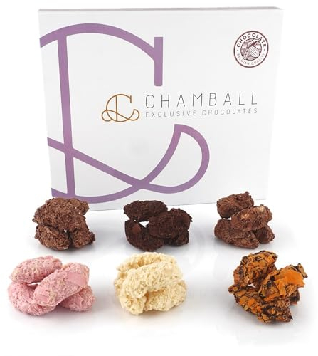 Caja de Chocolates para Regalar, 24 Trufas de Chocolate Belga Artesano: Chocolate Blanco, Chocolate Negro, Chocolate con Leche, Mango, Fresa y Naranja, Rocas de Chocolate ideal caja regalo Chocolate