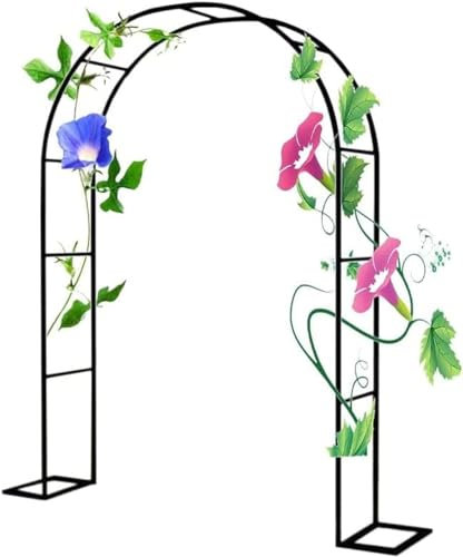 Arche de jardin en métal noir, 3,5 m de large, résistante aux intempéries, cadre d'arche de mariage, design robuste pour décoration de jardin et entrées