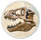 Deluxebase Magnidome - T-Rex Schädel Dinosaurier Kristallglas Kühlschrank Magnet für Kinder. Hervorragende gewölbte Magnete für Wohndekoration und Zubehör
