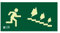 Astlight SAL5175.GF - Señal de evacuación direccional fotoluminiscente multicolor