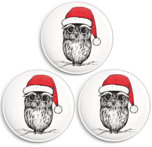 Ligarti® Magnet Set (Made in EU) | Design Kühlschrankmagnet | Weihnachtseule