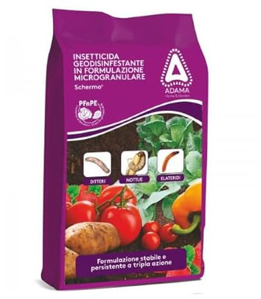 Schermo® 0.5 G Geoinsetticida 1KG granulare per barbabietola da zucchero, frumento, mais, oleaginose, ortaggi e tabacco.