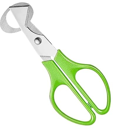 Tijeras de huevo de codorniz cortador de huevos de acero inoxidable tijeras de huevo pequeñas huevos de codorniz herramienta de cocina abridor de cáscara de huevo abridor de huevos de codorniz