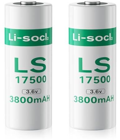 Lot de 2 Piles LS17500, 3,6 V 3800mAh Batterie Lithium Haute Capacité (Non-Rechargeable)