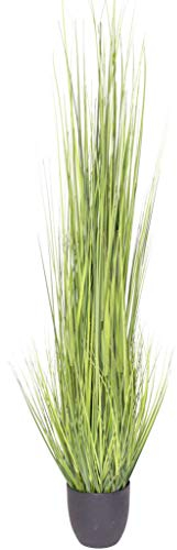 Nova-Nature künstliches Grasarrangement King Festuca im schwarzen Kunststofftopf (ca. 150 cm)