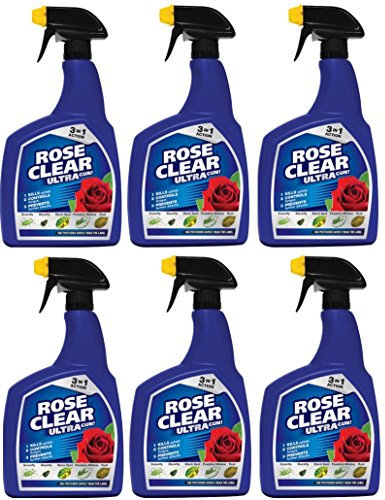 6x Rose Clear Ultra