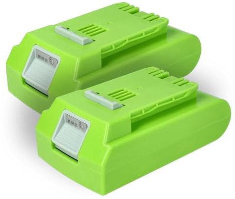 vhbw 2X Batteries Compatible avec Greenworks 2400007, G24 Sweeper, G24, 24352 Outil électrique (2000 mAh, Li-ION, 24 V)