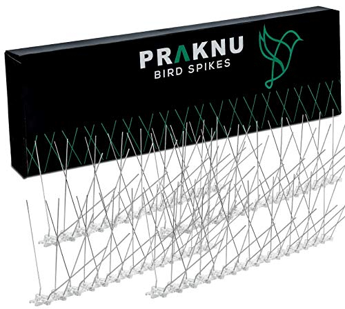 Praknu Taubenabwehr Vogelabwehr Edelstahl - 6 Meter - 720 Stacheln Spikes - Einfache Montage - 600cm Effektiver Taubenschutz für Dach, Balkon und Zäune