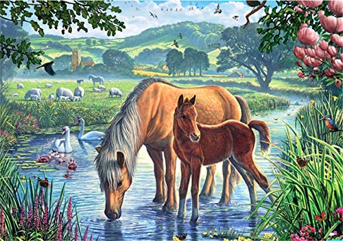 YEESAM ART DIY Ölgemälde Malen nach Zahlen Erwachsene Kinder, Pferd Vogel Schmetterling Schaf Schwan Ente Fluss Bäume Zahlenmalerei ab 5 Öl Wandkunst (Pferd, mit Rahmen)