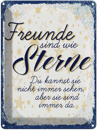 vianmo Blechschild 40x30 cm Spruch Zitat Freunde wie Sterne sind immer da Deko Geschenk Metall Schild