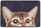 Maximex Fußmatte Katze 60x40 cm - Superweiche Fußabstreifer mit rutschhemmender Unterseite, Polyester, 60 x 40 x 1.5 cm, Mehrfarbig