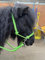 Equipride Seilhalfter mit Zügeln für gebissloses Reiten Full bis Mini Shet 5 Farben (Neon Grün, Mini Shetland)