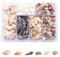 Funngy Muscheln,100 PCS Muscheln zum Basteln Muscheln Gemischt Ozean Muscheln Deko Muscheln Dekorative Granulate für Vase Füllstoffe Party Hochzeit Dekor DIY Kunsthandwerk Fisch Panzer Tiny Sea Shell