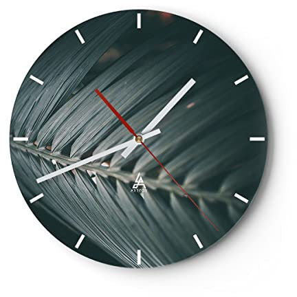 Modern Wanduhr Blatt Palme exotisch 40x40cm Rund Groß Wand Uhr Glas Analog Zimmeruhren Küche Büro Wohnzimmer Glasuhr Wall Clock Dekoration Design Wanddekoration Küchenuhr C3AR40x40-4907