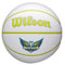WILSON WNBA Mini Autogramm-Basketball – Dallas Wings, Größe 7,6–55,9 cm