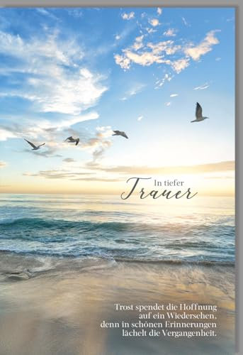 Skorpion Trauerkarte Möwen am Strand: Sonnenuntergang Design für Trost & Beileid, Naturmotiv in Blau Beige für Angehörige und Freunde - mit Umschlag