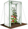 VOUNOT Gewächshaus Foliengewächshaus 100x50x150 cm, Schrägdach Tomatengewächshaus Stabil Tomatenhaus für Gemüse, Blumen & Obst, Verstärkte PE-Folie 135g/m², Weiß