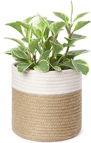 Dahey Petit Panier à Plantes en Corde de Coton tissé pour Pot de Fleurs jusqu'à 17,8 cm, 19,1 x 20,3 cm décoratif pour Pot de Fleurs dans Un Placard, Une Table ou Un Bureau - Blanc et Beige