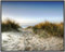 Wallario Wandbild - Weg durch die Dünen zum Strand am Meer in Premiumqualität, Poster mit schwarzem Rahmen, Größe: 40 x 50 cm