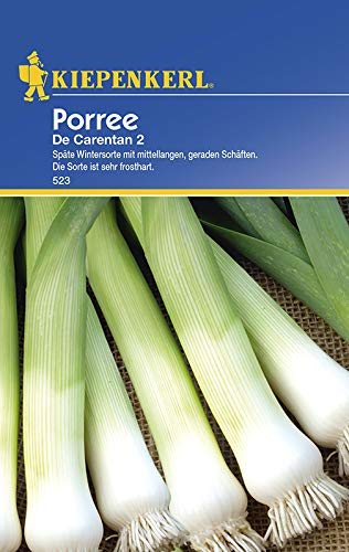 Kiepenkerl 523 Porree De Carentan 2 (Lauchsamen)