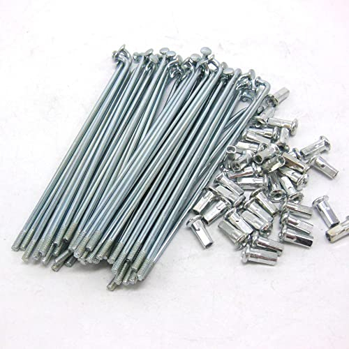 BIKECO 10G Elektrofahrradspeichen Silber Kohlenstoffstahl 3,0 mm Durchmesser E-Bike Motorradspeichen mit 12 mm Nippeln 45-220 mm Fahrradspeiche für E-Bike Motorrad (200mm)