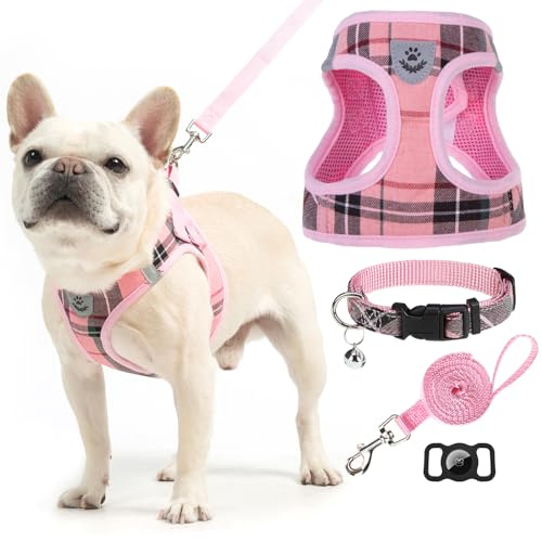 EXPAWLORER Hundegeschirr und Leine – kleines Hundehalsband und Leine – klassisches Kariertes kleines Hundegeschirr für kleine Hunde, kein Ziehen, ausbruchsicher für Spaziergänge im Freien (XS, Rosa)