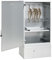vidaXL Fumoir à four à barbecue avec copeaux de bois 44,5x29x83 cm, fumoir, gril extérieur, BBQ, gril fumoir, fumoir extérieur, barbecue