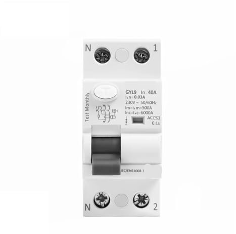 Disjoncteur différentiel GYL9 AC bipolaire 25 A, 40 A, 63 A, 100 A, RCD 6KA, 1 pièce(2P 63A,300mA(0.3A))