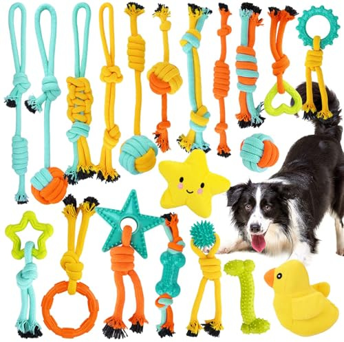 SanRes 20 Stück Hundespielzeug Kauspielzeug,Ball Hunde Robuste Zähne Kauen langlebig Spielzeug Zahntraining Set für Kleine/Mittlere/Große,Hunde Spielzeug für Hunde Zahnpflege