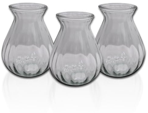 Hyazinthengläser | 3 Stück | Ideal für präparierte Hyazinthen | Vase für Schnittblumen, Zimmerpflanzenableger, Hydropinic oder Deko | (Transparent/Klar)