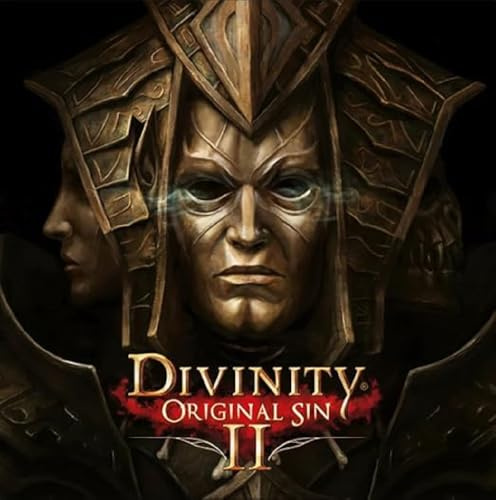 Divinity: Original Sin 2