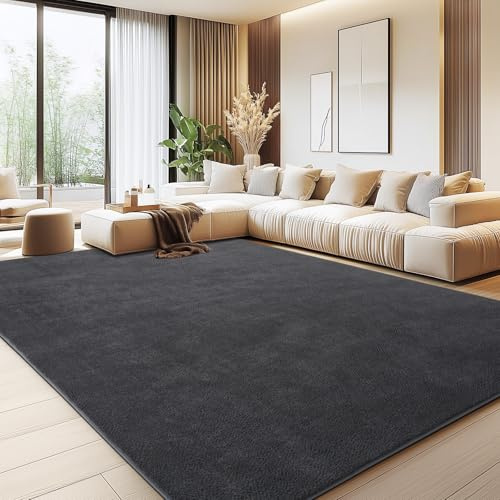 Rezutan Teppich Wohnzimmer Groß 200x300cm Grau, Waschbarer Kurzflor Teppich | Flauschig Weich & Rutschfest, Einfarbiges, Modernes Design für Wohnzimmer, Kinderzimmer, Flur und Büro