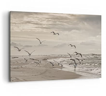 Bilder auf Leinwand 100x70cm Leinwandbild mit Rahmen Möwen Küste Boho Groß Wanddeko Bild Schlafzimmer Küche Deko Wandbilder Dekoration Wohnzimmer Wall Decor Canvas Wand Kunstdruck Art AA100x70-4723