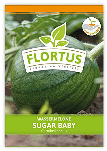 FLORTUS Wassermelone Sugar Baby | Wassermelonensamen | Obstsamen | Samen zur Anzucht für Garten, Balkon, Küche & Fensterbank