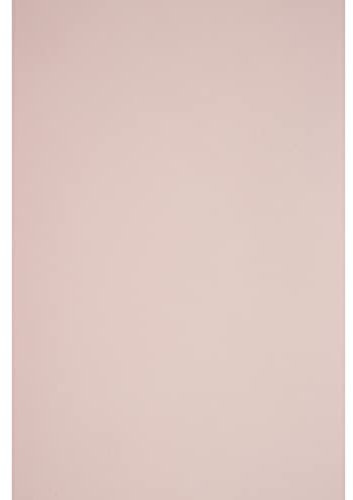 Netuno 25x Tonkarton Blass-Rosa DIN A4 210x 297 mm 290g Sirio Color Nude Bastel-Karton farbig Fotokarton A4 bunt Karton Hochzeit Taufe Weihnachten Geburtstag DIY-Karten buntes Tonpapier bedruckbar