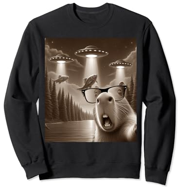 Capybara selfie OVNI Soucoupes volantes extraterrestres Sweatshirt
