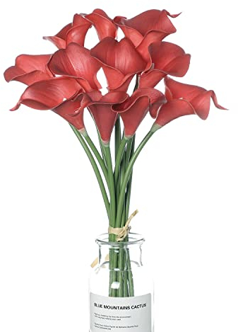 huaao 12pcs Lirios de Cala Flores Artificiales Rojos en Latex, Flores Falsos Realista Decoración Aniversario, Matrimonio, Boda, Hogar, Fiesta, Oficina, Arreglos Florales, Bouquets Flor Nupcial