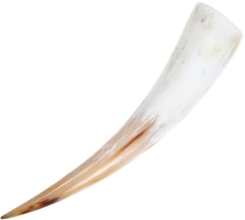 HOOTNEE Wandvasen Für Blumen Aus Kuhhorn Rustikales Vintage-dekor Wanddekor Aus Horn Naturhorn-dekor Horn-blumenhalter Für Zuhause