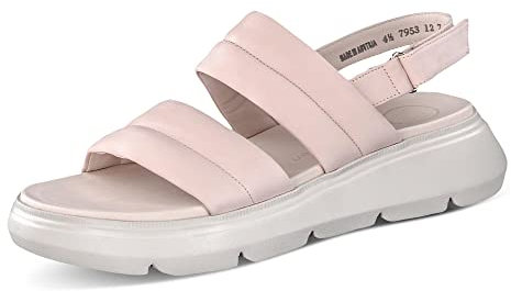 Paul Green 7953 Rosa UK8 - GR42