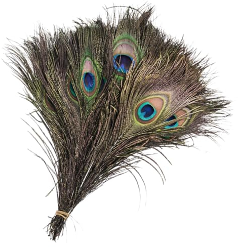 SEWACC Handwerk Pfau Federn 10 Stücke Vase Dekorative Federn Party Mittelstücke