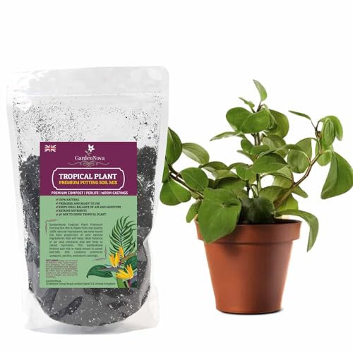 House Plant and Tropical Plant Potting Soil - Re-Potting Soil for All Types of Indoor House Plants - 2 Liters Bag