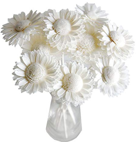 Plawanature Set of 10 White Daisy 2 Sola Flower with Reed Diffuser Stick for Home Fragrance.
