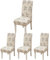 ARNTY Stuhlhussen Esszimmer Stuhlhussen Schwingstühle Universal Hussen für Stühle für Esszimmer